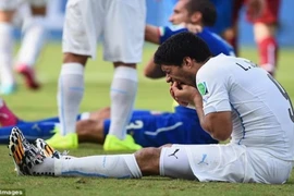 CLB Kosovo gây sốc khi mời Luis Suarez về thi đấu với lương "bèo"