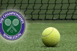 10 khám phá thú vị về loạt trận bán kết đơn nữ Wimbledon 2014