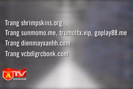 Khuyến cáo 15 trang web giả mạo, người dùng tuyệt đối không truy cập