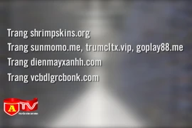 Khuyến cáo 15 trang web giả mạo, người dùng tuyệt đối không truy cập