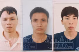 Băng nhóm chuyên trộm két sắt sa lưới