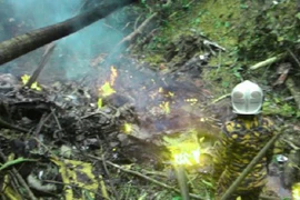 Trực thăng chở khách dự đám cưới con gái Thủ tướng Malaysia rơi