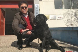 Trả lại chó cho chủ cũ kèm lời xin lỗi