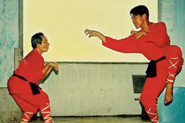 Hầu quyền - Tinh hoa võ thuật quái chiêu