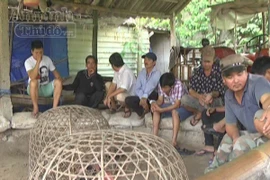 Bắt quả tang 13 đối tượng đánh bạc dưới hình thức đá gà