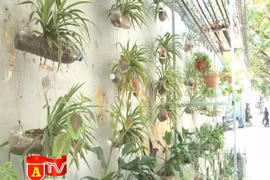 Nhóm sinh viên với ý tưởng cải tạo các điểm vi phạm môi trường thành vườn cây 