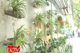 Nhóm sinh viên với ý tưởng cải tạo các điểm vi phạm môi trường thành vườn cây 