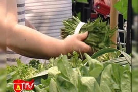 Hà Nội phát triển các chuỗi cung cấp thực phẩm sạch 