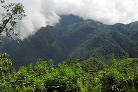 Khu du lịch quốc tế cao cấp Tản Viên rộng trên 158 ha