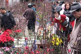 Tết Nhâm Thìn sẽ được nghỉ dài ngày