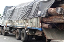 Làm 2 người chết, bị thương rồi bỏ trốn 