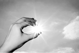 Những “kẻ trộm” bất ngờ