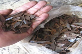 34 tháng từ cho vợ chồng “đinh tặc”