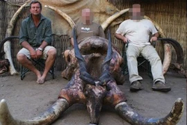 Hy hữu: Voi trúng đạn, đè tử nạn thợ săn huyền thoại