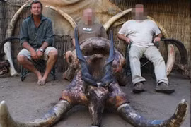 Hy hữu: Voi trúng đạn, đè tử nạn thợ săn huyền thoại