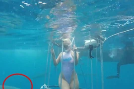 Ngôi sao khiêu dâm bị cá mập tấn công khi đang ghi hình dưới biển