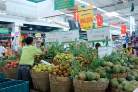 Người cao tuổi chỉ được ưu tiên thanh toán 5 mặt hàng/lần tại Big C?