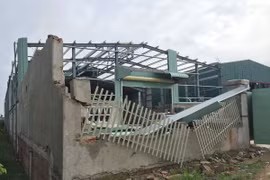 Các doanh nghiệp có thể thiệt hại 1.000 tỷ đồng