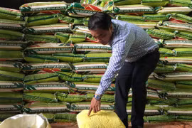 Xóa bỏ phân cấp, phân quyền trong quản lý vật tư nông nghiệp