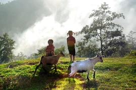 Tuổi thơ đầy ắp tiếng cười nơi vùng cao nghèo khó