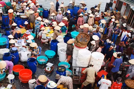 Chen chúc nơi cảng cá, lớn nhất nhì miền Trung