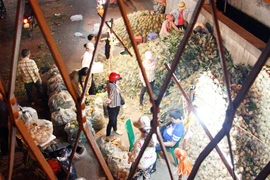 Giữa Thủ đô chẳng hề biết "mùi" World Cup