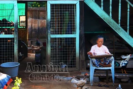 Nơi không có SEA Games