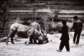 Độc đáo triển lãm ảnh đen trắng