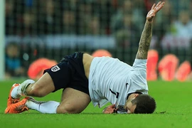 Hướng tới World Cup 2014: Ác mộng chấn thương