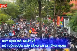 Quy định mới về độ tuổi được cấp bằng lái xe các hạng