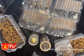 Tạm giữ số lượng lớn đông trùng hạ thảo Tây Tạng không rõ nguồn gốc 