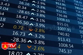 Vừa rủi ro vừa vi phạm pháp luật khi chơi Forex