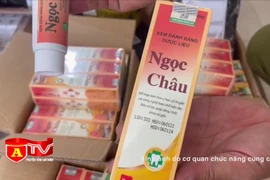 Cận cảnh hơn 1.600 sản phẩm kem đánh răng dược liệu giả nhãn hiệu