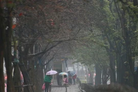 Người Hà Nội "phát ốm" vì mưa phùn kéo dài