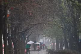 Người Hà Nội "phát ốm" vì mưa phùn kéo dài