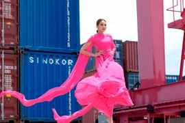 Bay xuống từ độ cao 15m, Host Thanh Hằng bị trầy tay, xước da