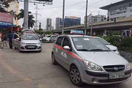 Khó quản taxi ngoại tỉnh đeo biển Hà Nội