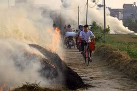 Không đốt rơm, tiết kiệm 11.000 tỷ đồng