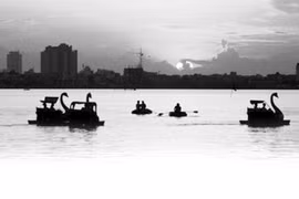 Hồ Tây lao xao hoài con sóng
