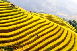 Xu hướng du lịch theo nhóm nhỏ và chọn địa điểm gần trong dịp 2/9