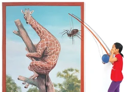 Lạc vào thế giới tranh 3D