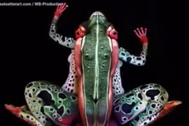 Kinh ngạc với nghệ thuật xếp hình động vật