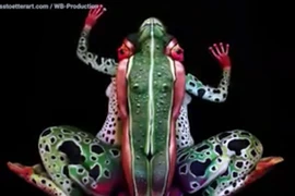 Kinh ngạc với nghệ thuật xếp hình động vật