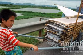 Tò mò trước những chiếc bánh đa hình yên ngựa 