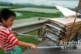 Tò mò trước những chiếc bánh đa hình yên ngựa 