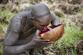 Kinh hoàng bộ tộc "giải khát" bằng… máu bò tươi