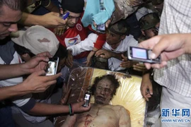 Tin sốc: Đại tá Gaddafi có thể vẫn còn sống