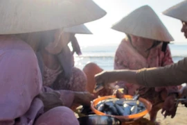 Độc đáo chợ cá họp ven biển lúc bình minh