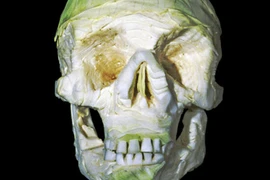 Chế tác sọ người từ… rau quả