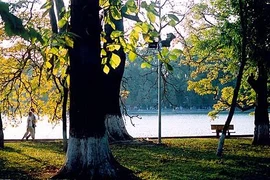 Miền Bắc sẽ ấm dần lên